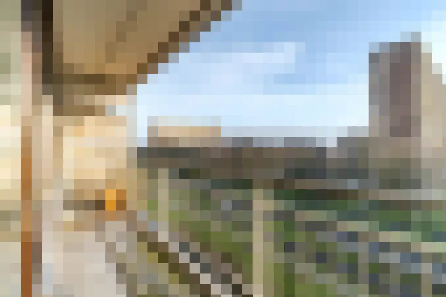 Roland Holstlaan 907 Delft thumbnail 9