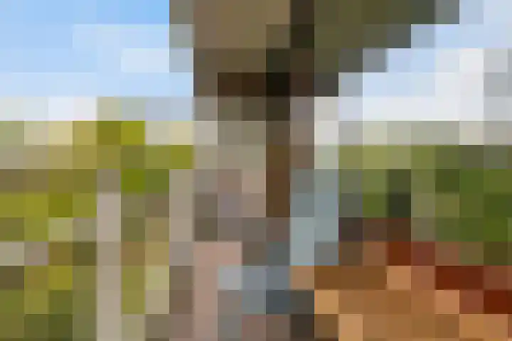 Roland Holstlaan 914 Delft thumbnail 18