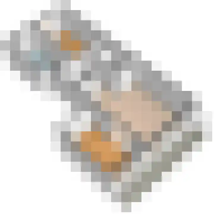 Roland Holstlaan 962 Delft thumbnail 35