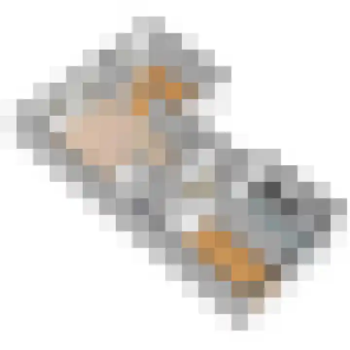Roland Holstlaan 962 Delft thumbnail 39