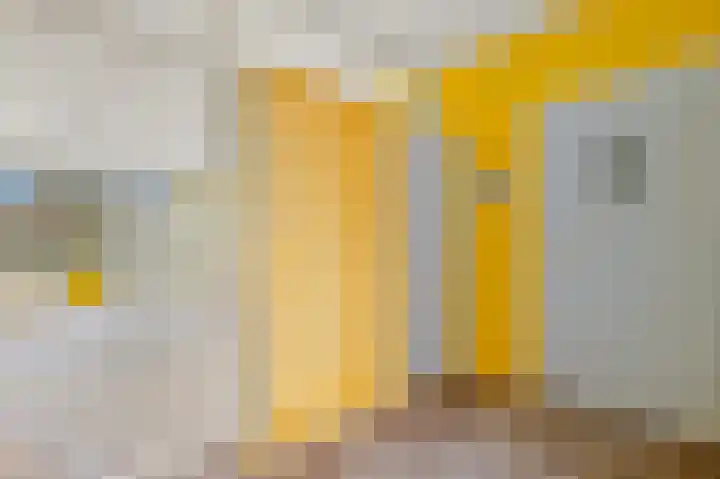 Roland Holstlaan 962 Delft thumbnail 8