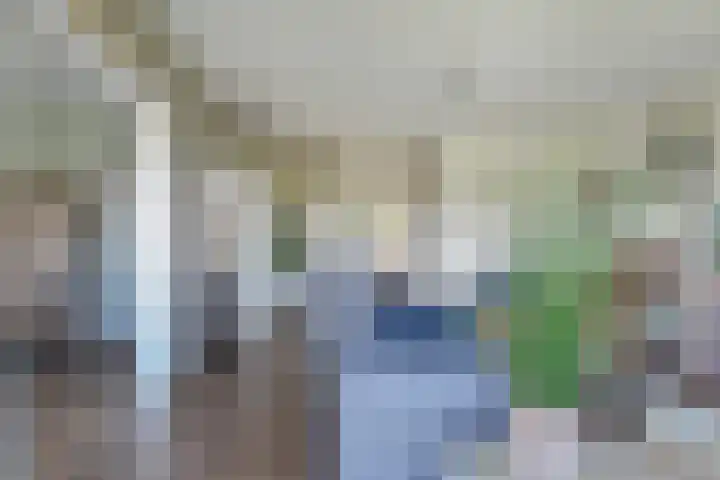 Roland Holstlaan 974 Delft thumbnail 14