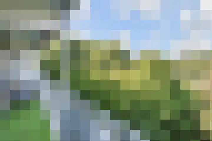 Roland Holstlaan 974 Delft thumbnail 26