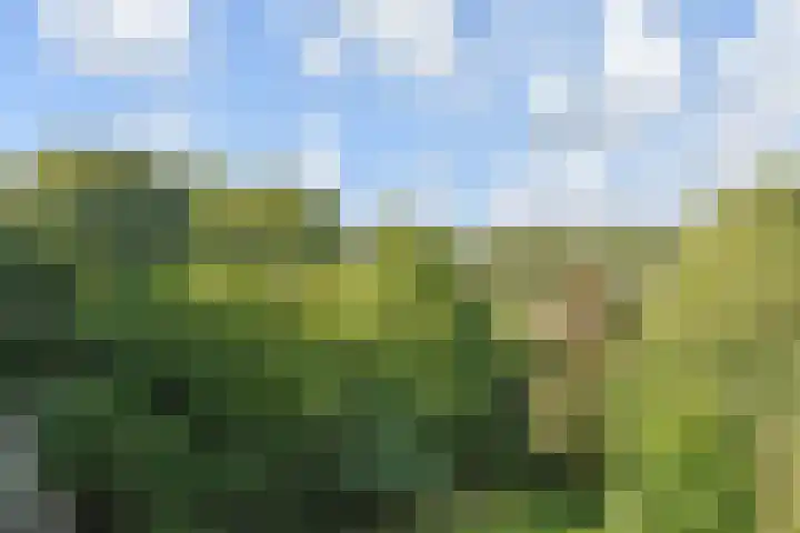 Roland Holstlaan 974 Delft thumbnail 27