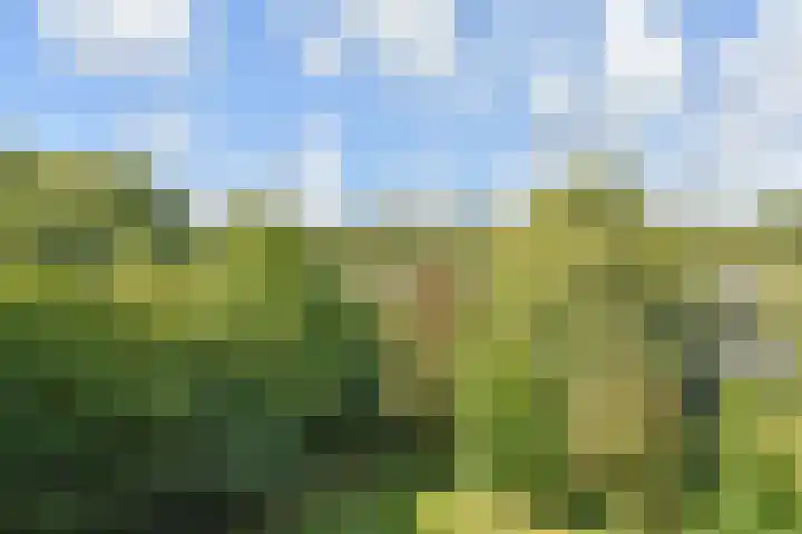 Roland Holstlaan 974 Delft thumbnail 28