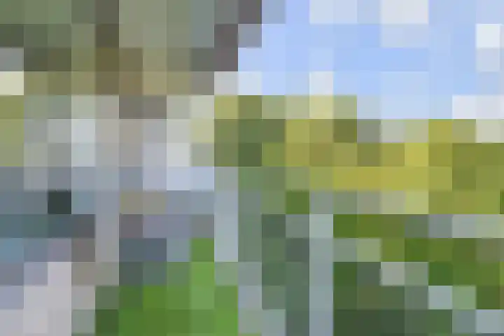 Roland Holstlaan 974 Delft thumbnail 5