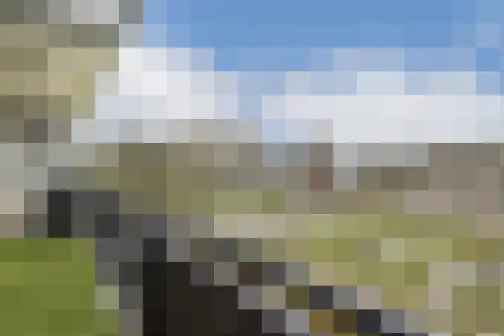 Roland Holstlaan 975 Delft thumbnail 10