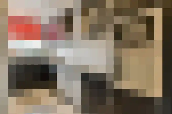 Roland Holstlaan 975 Delft thumbnail 12