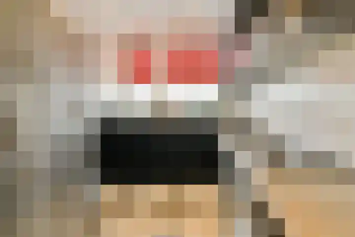 Roland Holstlaan 975 Delft thumbnail 13