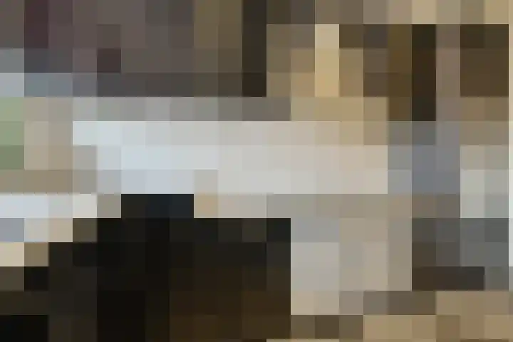 Roland Holstlaan 975 Delft thumbnail 14