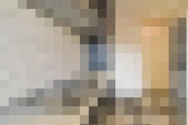 Roland Holstlaan 975 Delft thumbnail 15