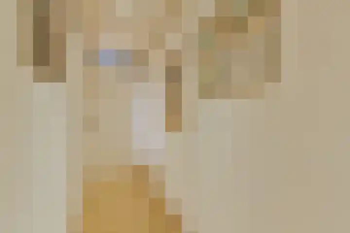 Roland Holstlaan 975 Delft thumbnail 16