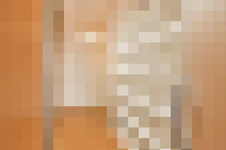 Roland Holstlaan 975 Delft thumbnail 22