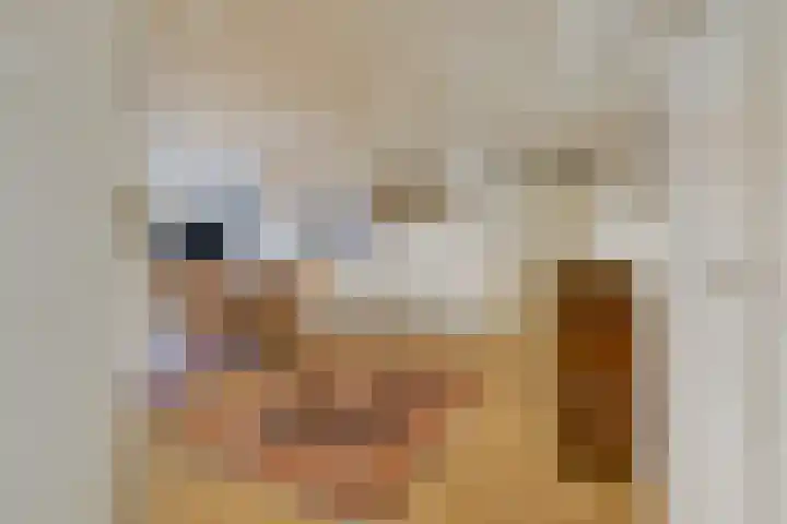 Roland Holstlaan 975 Delft thumbnail 5