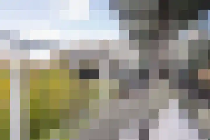 Roland Holstlaan 978 Delft thumbnail 14