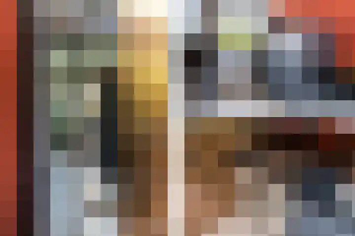 Roland Holstlaan 978 Delft thumbnail 16