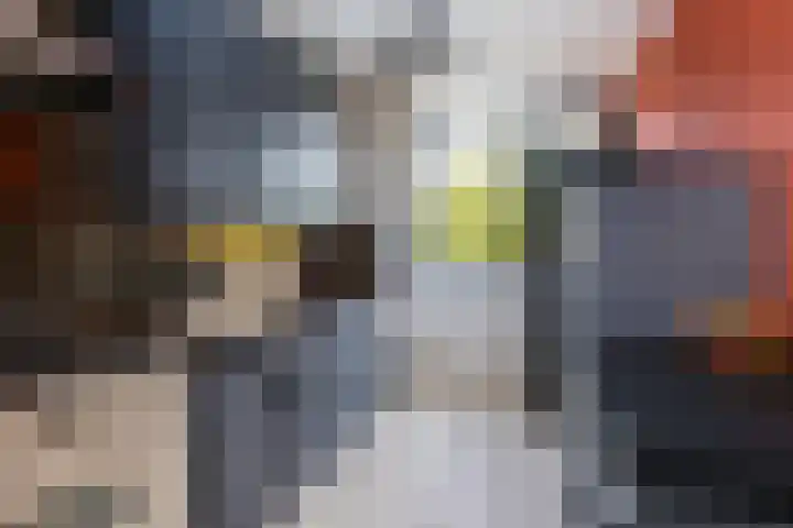 Roland Holstlaan 978 Delft thumbnail 18