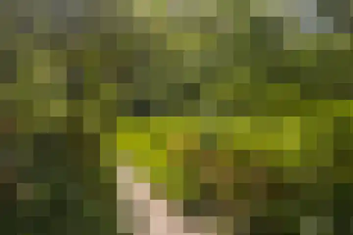 Roland Holstlaan 978 Delft thumbnail 28