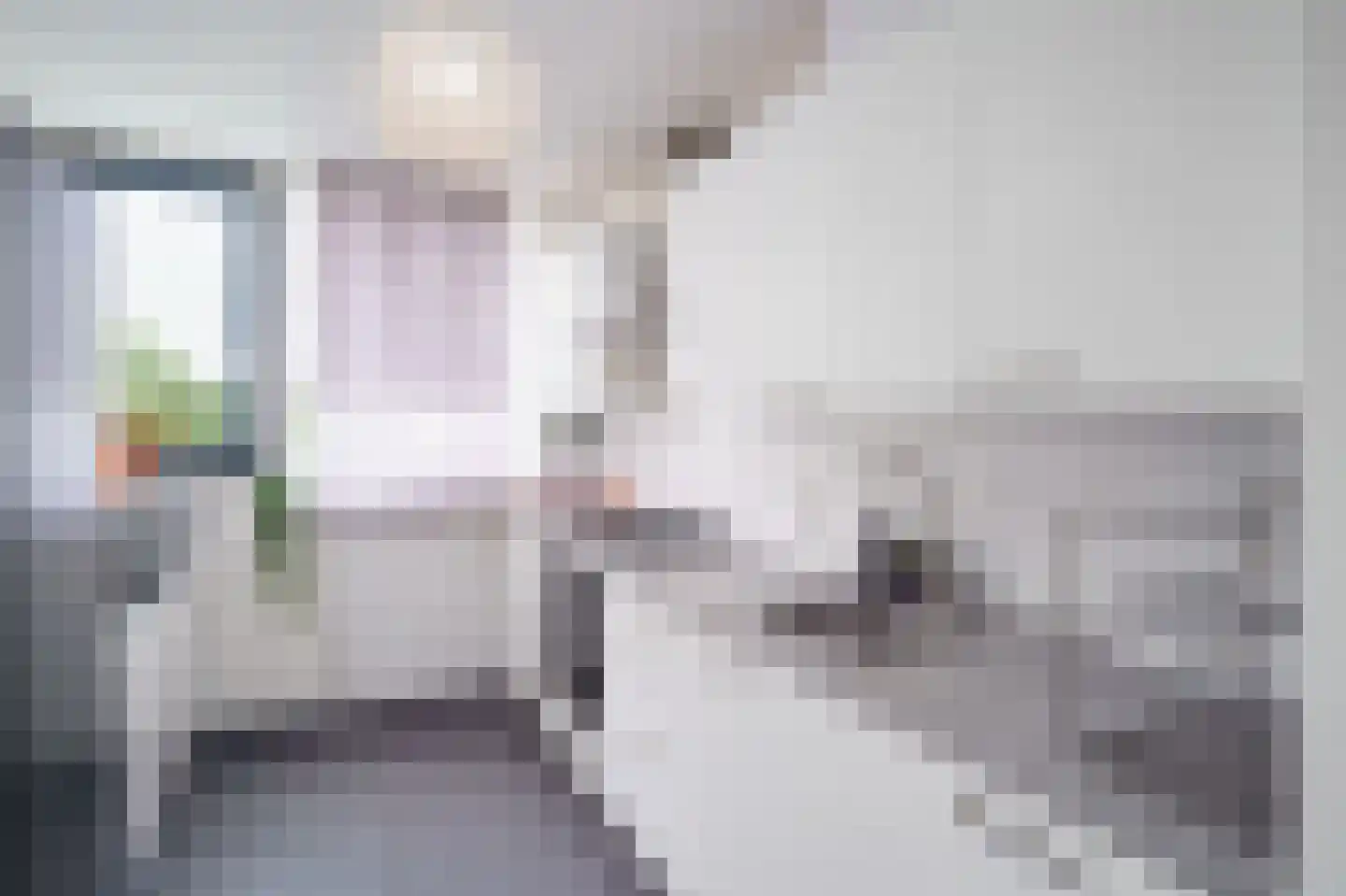 Roland Holstlaan 979 Delft thumbnail 12