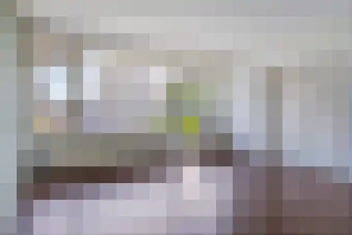Roland Holstlaan 985 Delft thumbnail 10