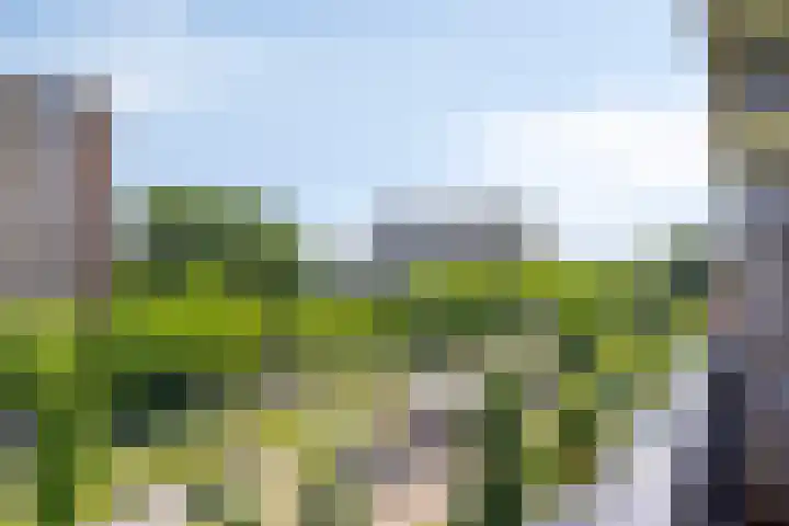 Roland Holstlaan 985 Delft thumbnail 11