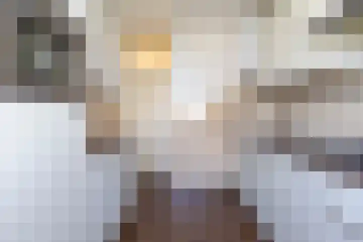 Roland Holstlaan 985 Delft thumbnail 17