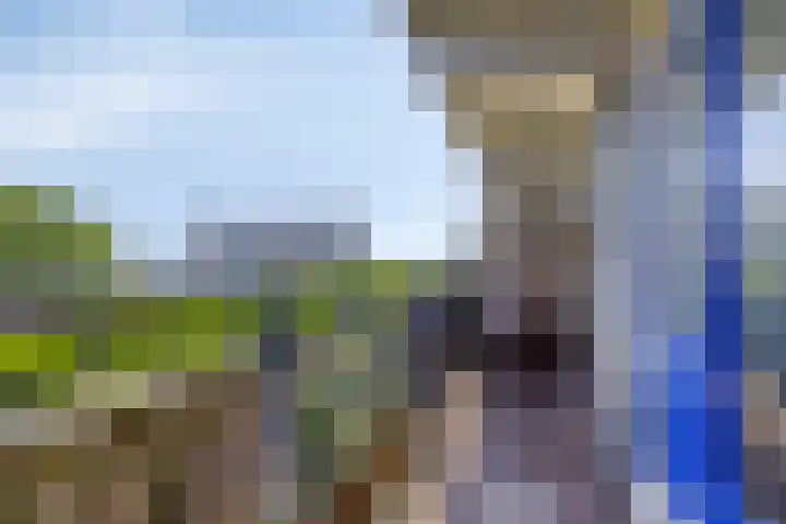 Roland Holstlaan 985 Delft thumbnail 19