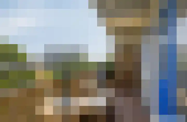 Roland Holstlaan 985 Delft thumbnail 20