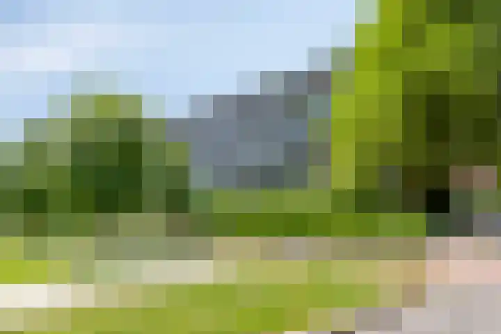 Roland Holstlaan 985 Delft thumbnail 32