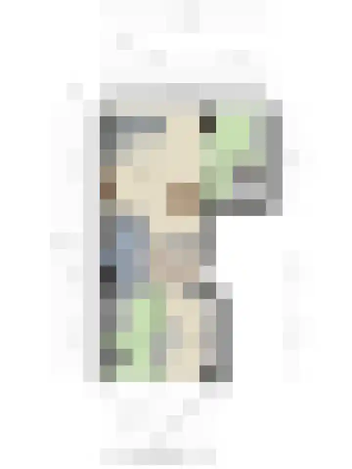 Roland Holstlaan 985 Delft thumbnail 33
