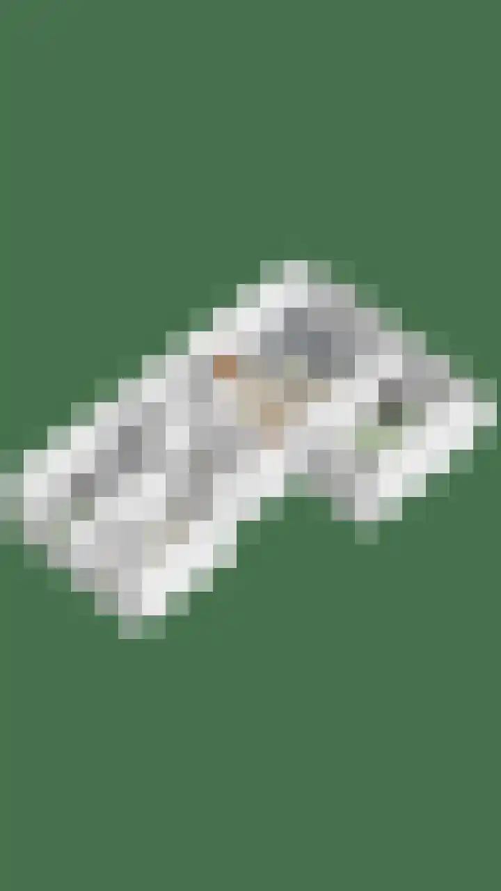 Roland Holstlaan 985 Delft thumbnail 34