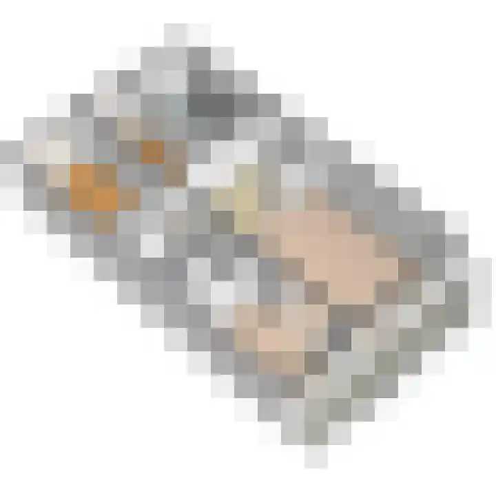 Roland Holstlaan 996 Delft thumbnail 41