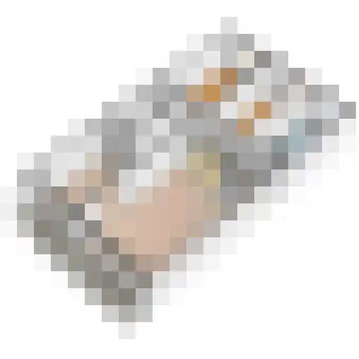 Roland Holstlaan 996 Delft thumbnail 42