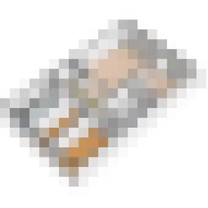 Roland Holstlaan 996 Delft thumbnail 44