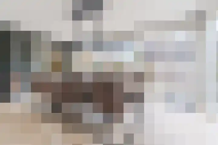 Roland Larijstraat 5 Heeze thumbnail 16
