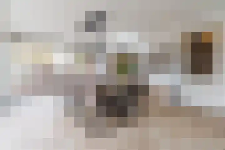 Roland Larijstraat 5 Heeze thumbnail 18
