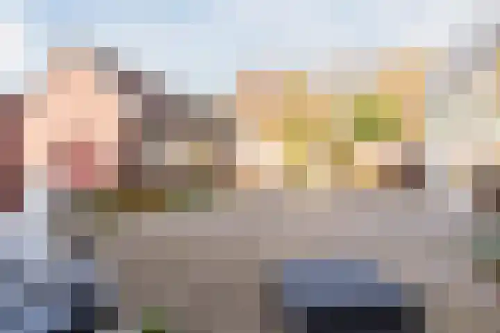 Roland Larijstraat 5 Heeze thumbnail 48