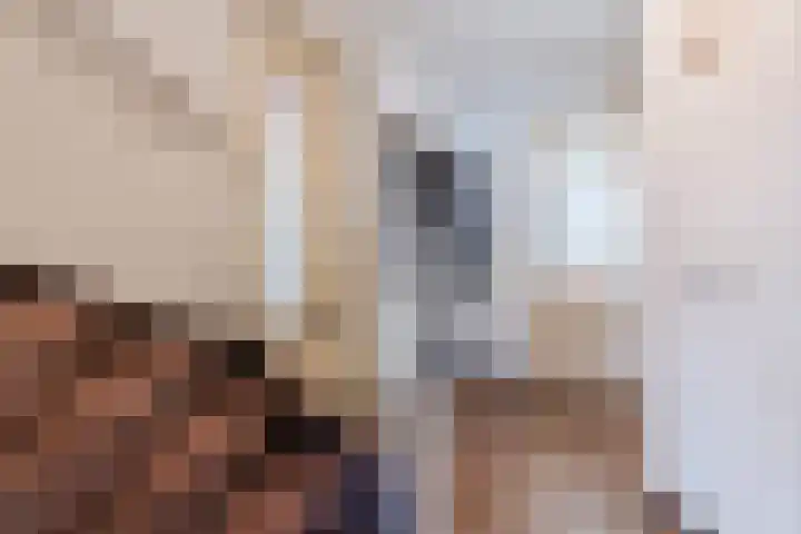 Roland Larijstraat 5 Heeze thumbnail 5