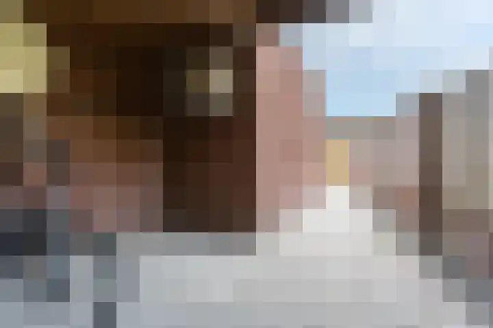 Roland Larijstraat 5 Heeze thumbnail 52