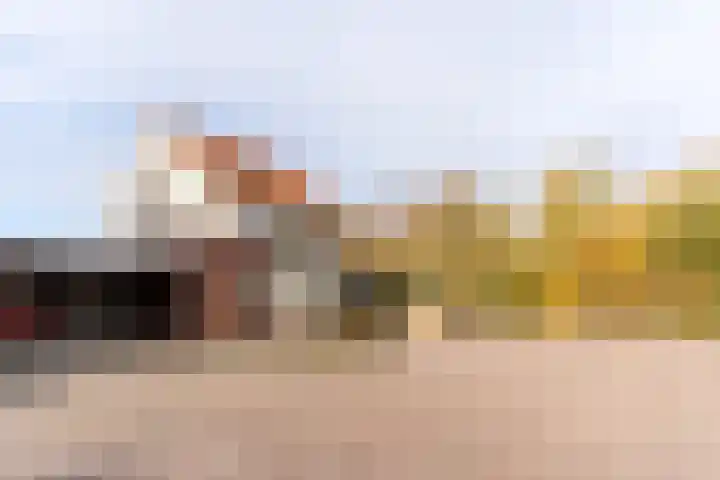 Roland Larijstraat 5 Heeze thumbnail 58