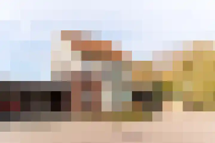 Roland Larijstraat 5 Heeze thumbnail 59