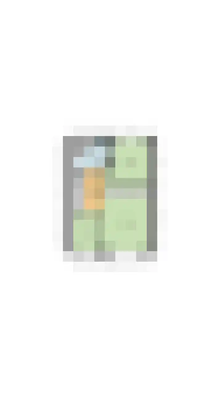 Roland Larijstraat 5 Heeze thumbnail 64