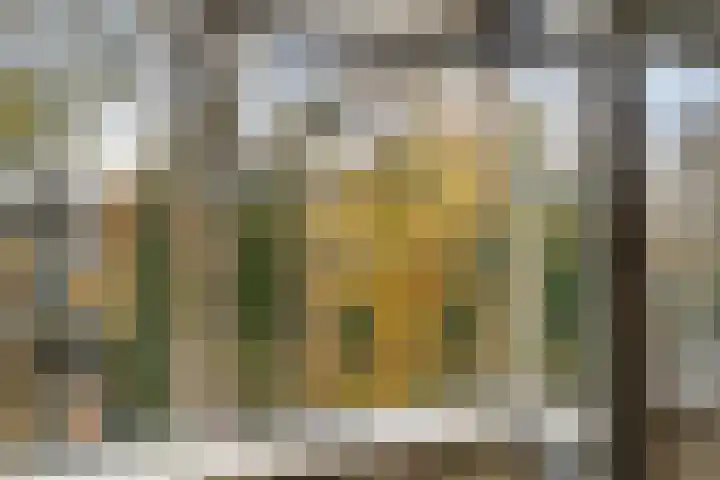 Rolandseck 19 Doorwerth thumbnail 10