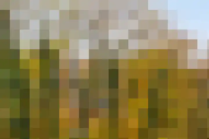Rolandseck 19 Doorwerth thumbnail 11