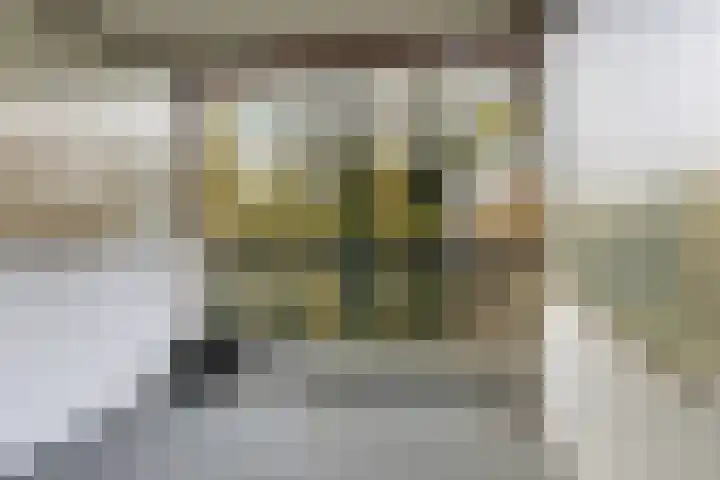 Rolandseck 19 Doorwerth thumbnail 18
