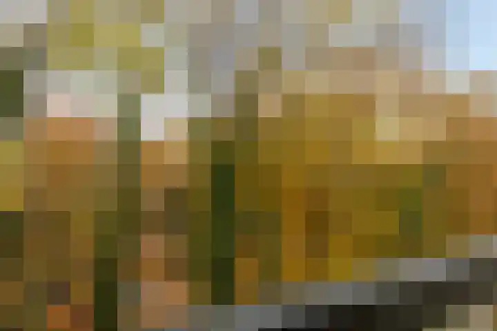 Rolandseck 19 Doorwerth thumbnail 19