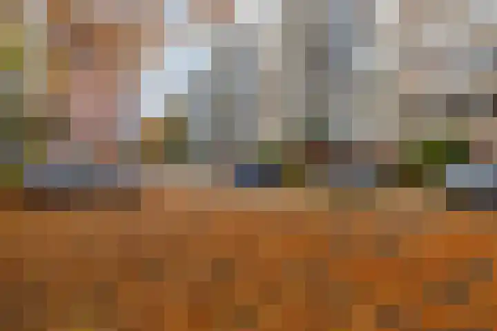 Rolandseck 19 Doorwerth thumbnail 25