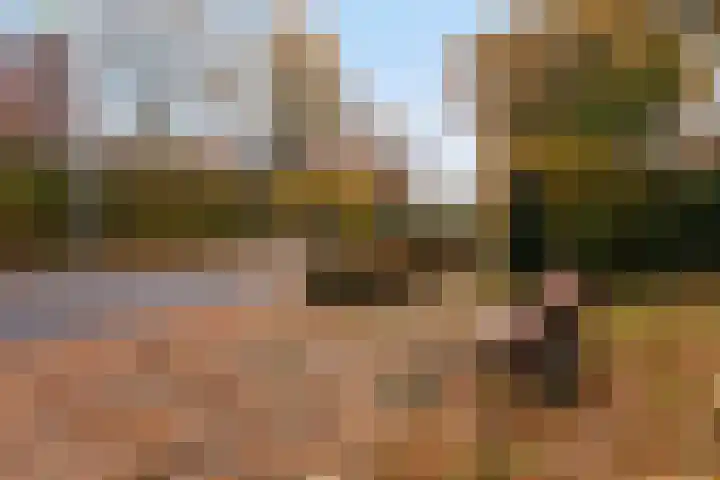Rolandseck 19 Doorwerth thumbnail 26
