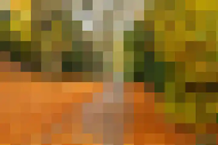 Rolandseck 19 Doorwerth thumbnail 28