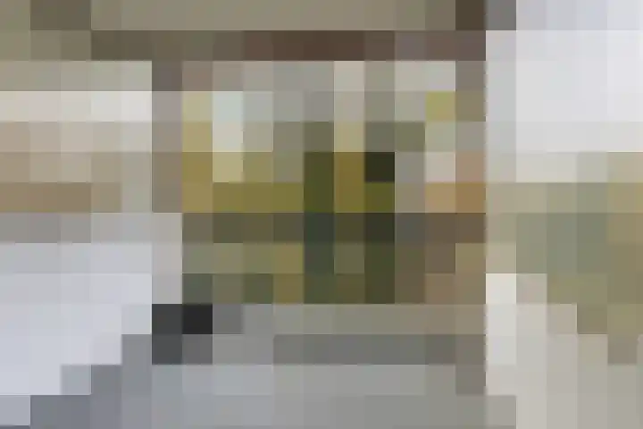 Rolandseck 19 Doorwerth thumbnail 4